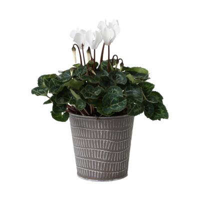 Metall-Topf für 10,5er taupe