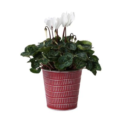 Metall-Topf für 10,5er rot