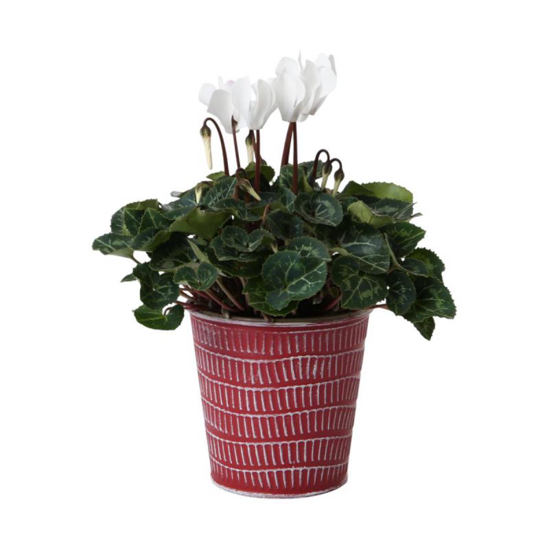 Metall-Topf für 10,5er rot