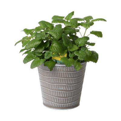 Metall-Topf für 12/13er taupe