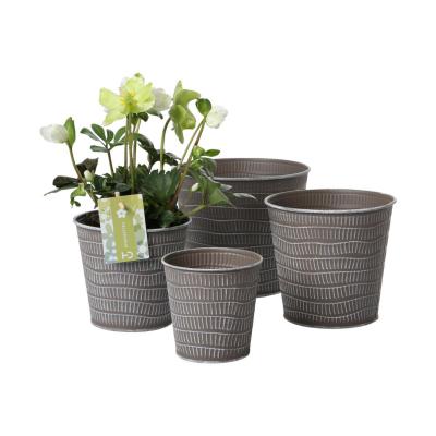 Metall-Topf für 16er taupe