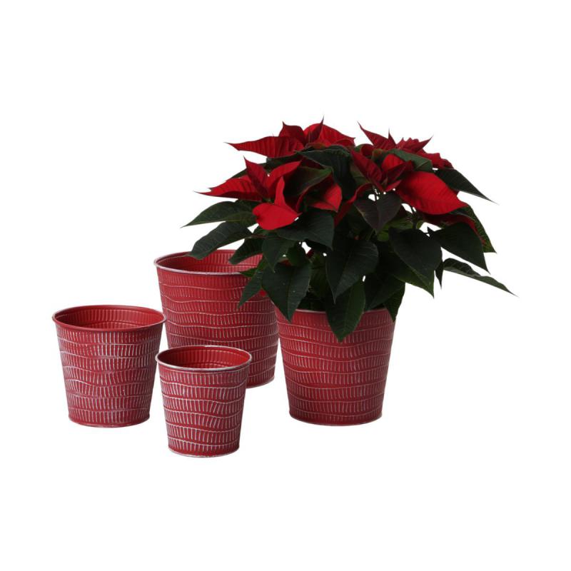 Metall-Topf für 16er rot