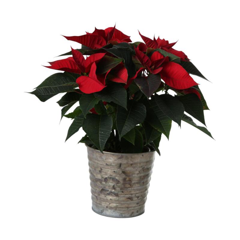 Metall-Topf für 14er antik