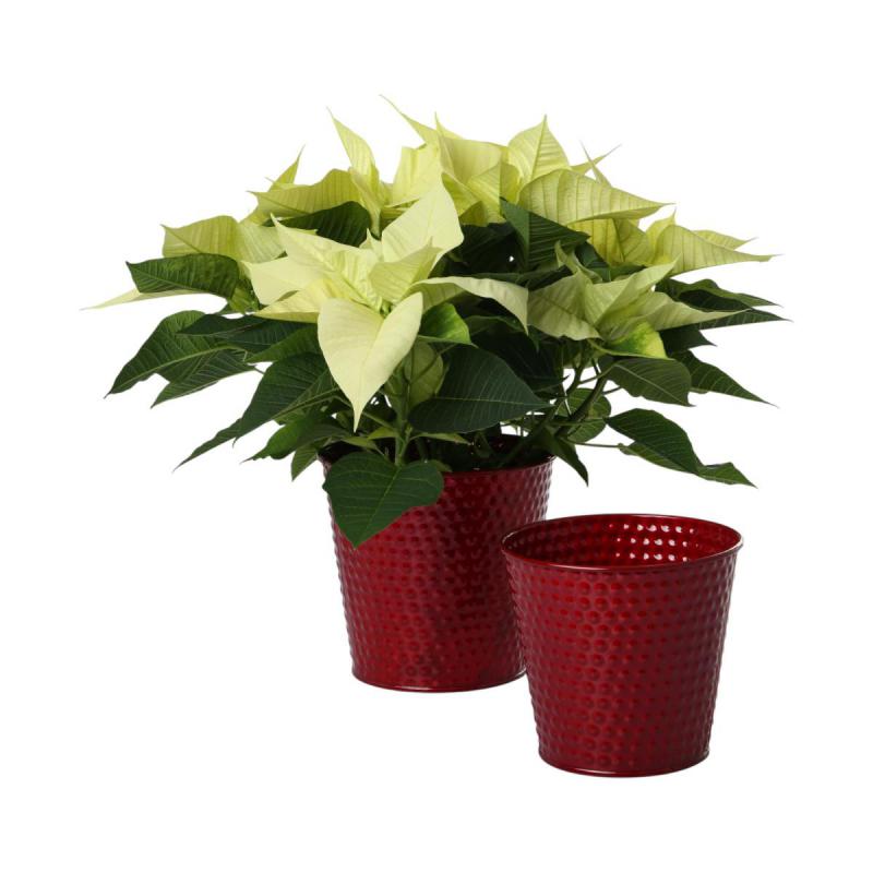 Metall-Topf für 12/13er rot