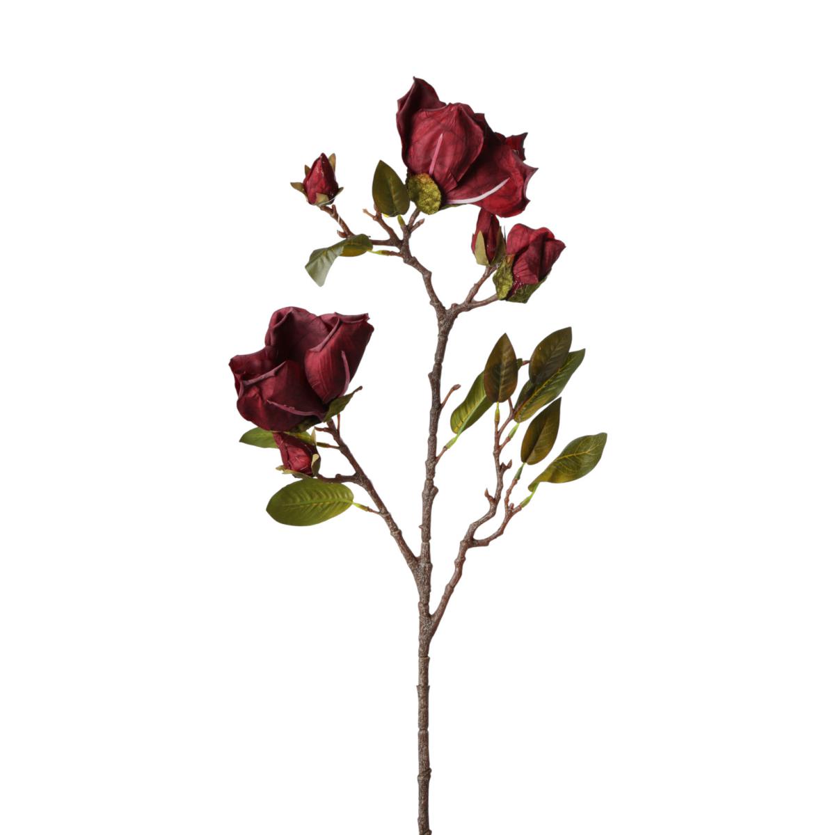 Magnolien-Einstieler bordeaux