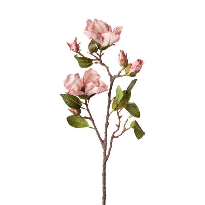 Magnolien-Einstieler altrosa