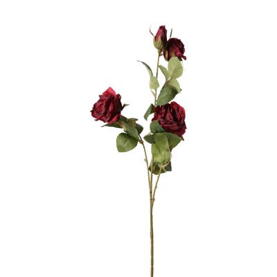 Rosen-Einstieler bordeaux