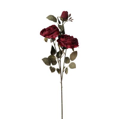 Rosen-Einstieler bordeaux