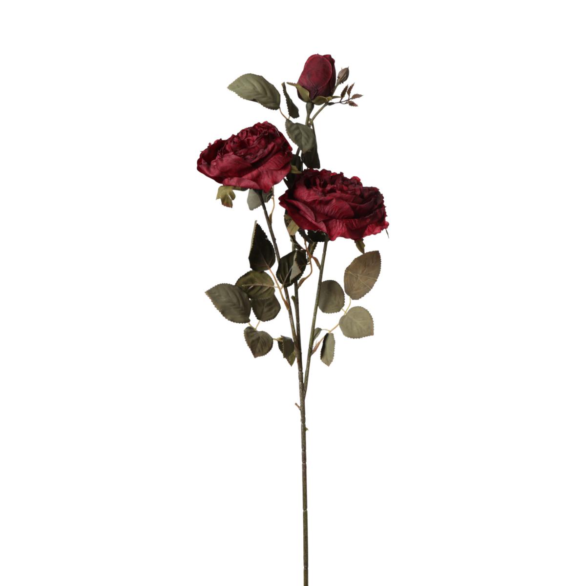 Rosen-Einstieler bordeaux