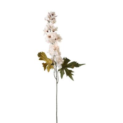 Akelei-Einstieler creme