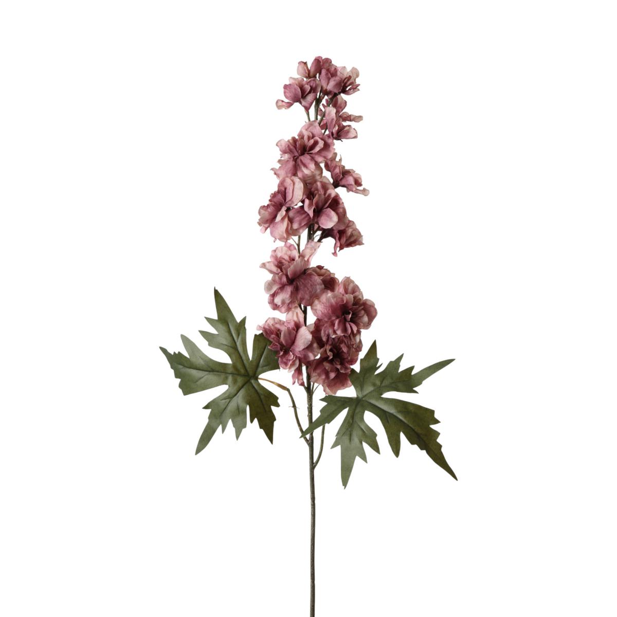 Akelei-Einstieler erika