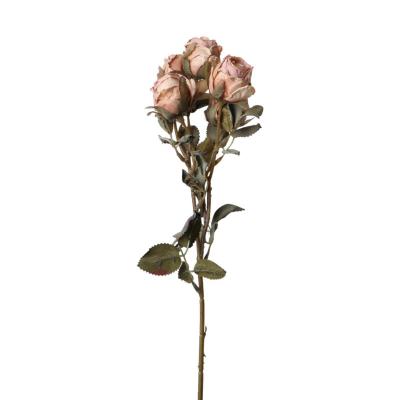 Rosen-Einstieler creme