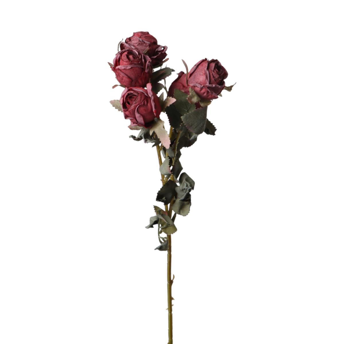 Rosen-Einstieler rot