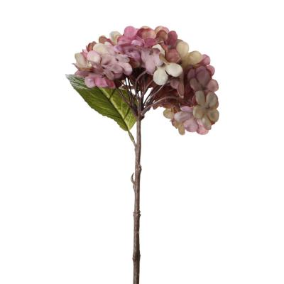 Hortensie-Einstieler rosa