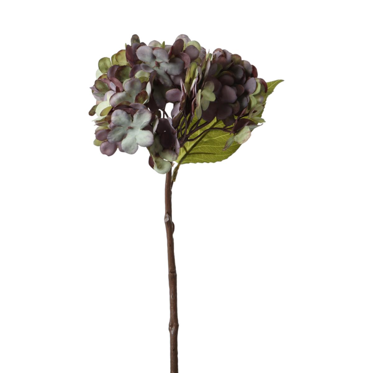 Hortensie-Einstieler flieder