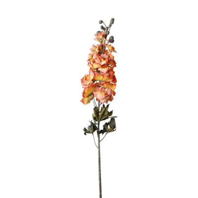 Delphinium-Einstieler orange