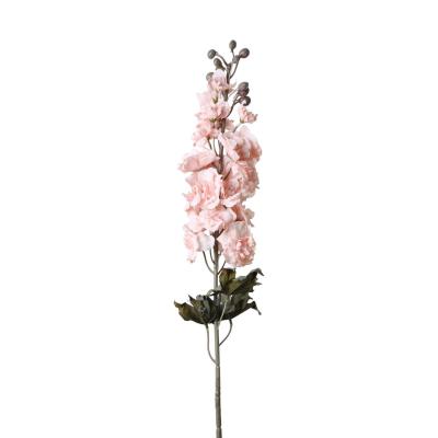 Delphinium-Einstieler pink