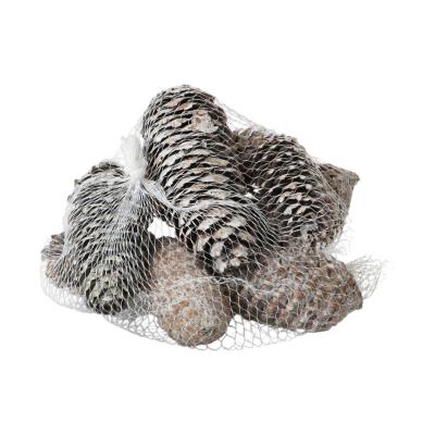 Fichtenzapfen white washed