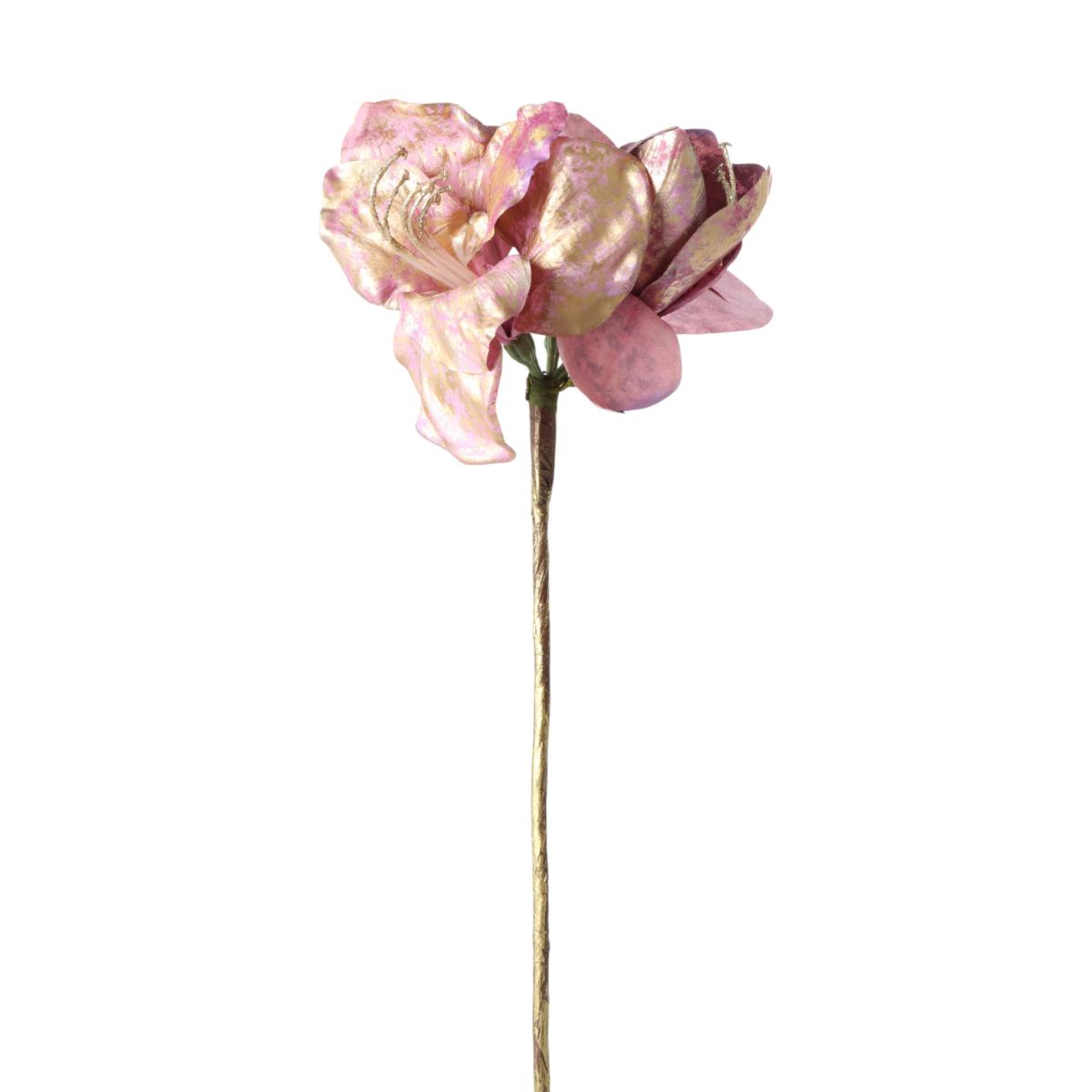 Amaryllis-Einstieler altrosa