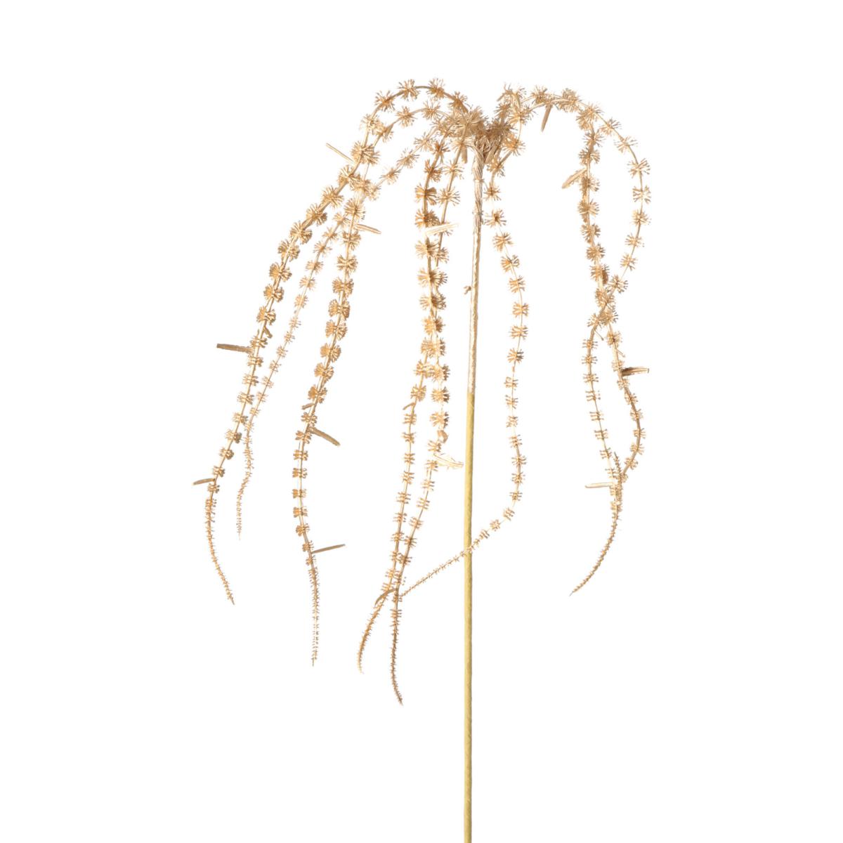 Amaranthus-Einstieler Metallic