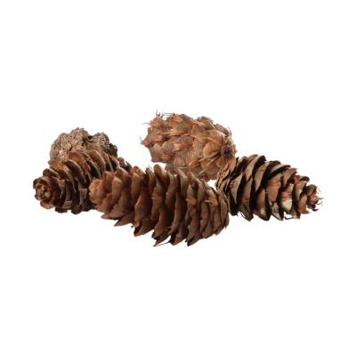 Douglaszapfen natur 5kg