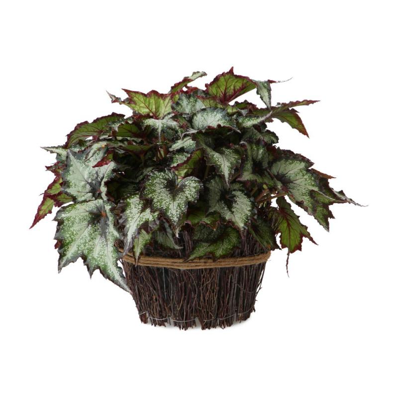 Weidenzweig-Boot mit Sisal