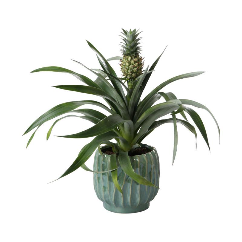 Topf bauchig mit Rillen gr&uuml;n