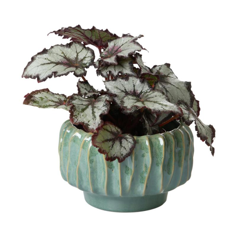 Schale bauchig mit Rillen gr&uuml;n