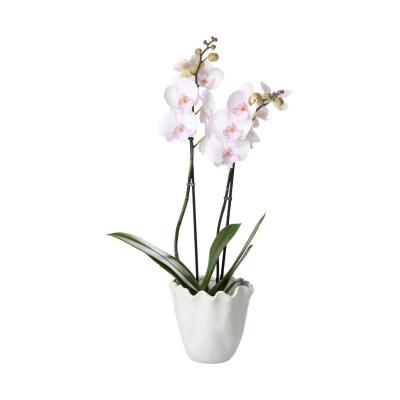Orchideentopf faltig wei&szlig;