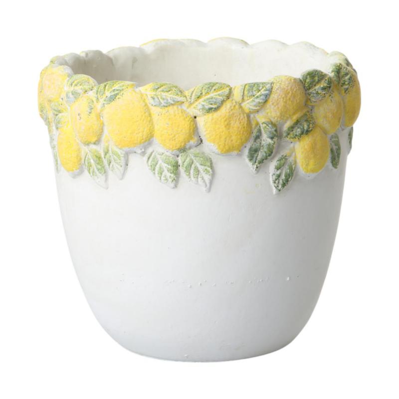 Zementtopf mit Zitronen