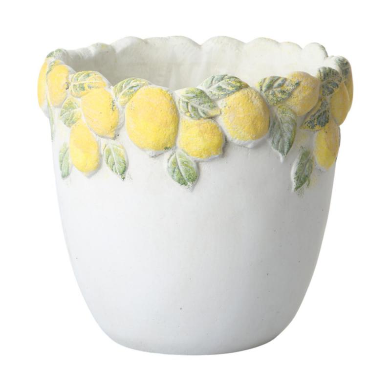 Zementtopf mit Zitronen