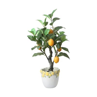 Zementtopf mit Zitronen