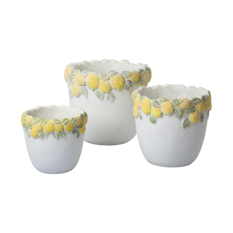 Zementtopf mit Zitronen