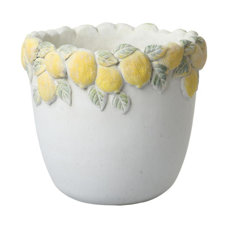 Zementtopf mit Zitronen