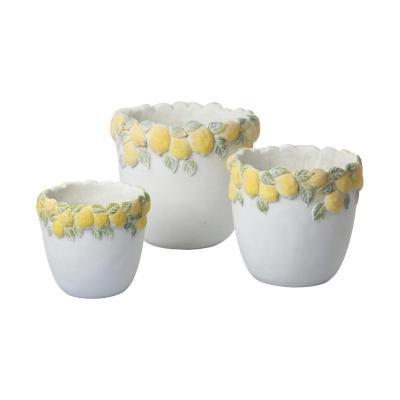 Zementtopf mit Zitronen