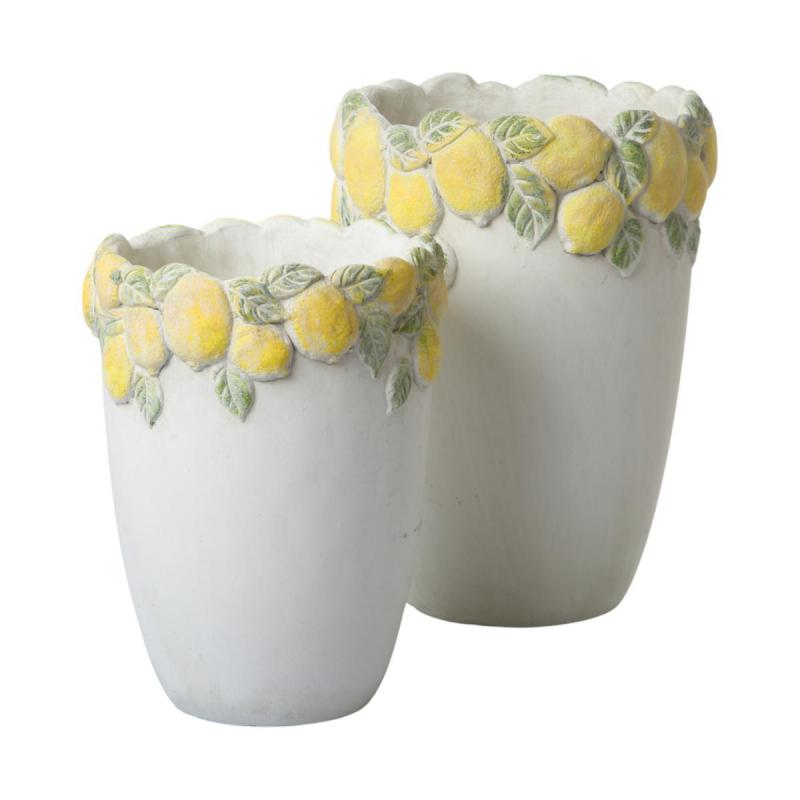 Zementtopf mit Zitronen