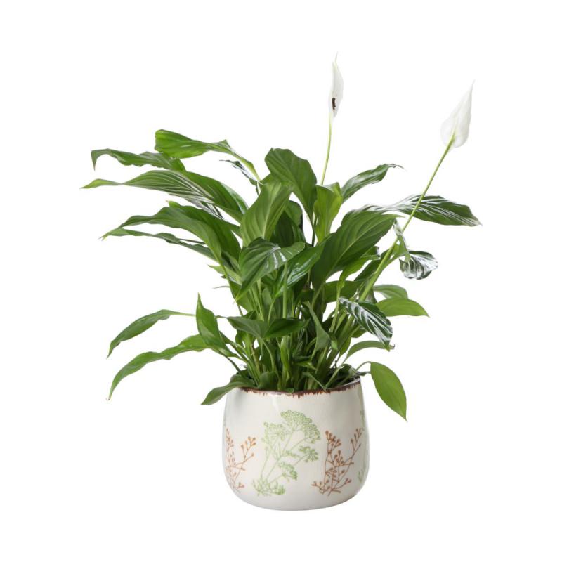 Topf mit Blumenmotiv