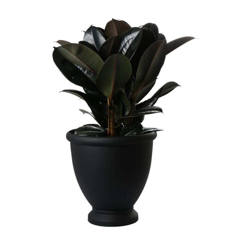 Aged-Lite Pokal Matt Schwarz