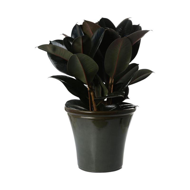 Glaze Lite K&uuml;bel konisch Gradiant Olive