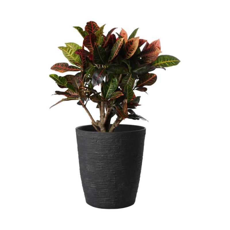 Aged-Lite K&uuml;bel Ash Stone