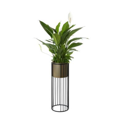 Blumenst&auml;nder mit goldenen Topf