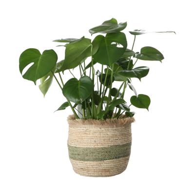 Korb bauchig mit Fransen