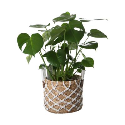 Seegraskorb mit Henkel wei&szlig;es Netzdesign