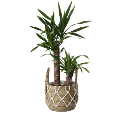 Seegraskorb mit Henkel wei&szlig;es Netzdesign