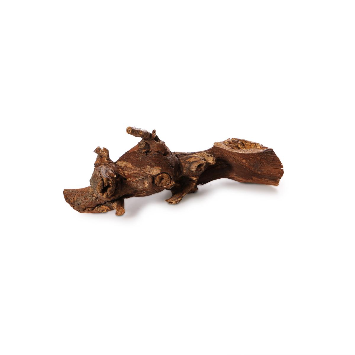 Weinrebe 20cm natur