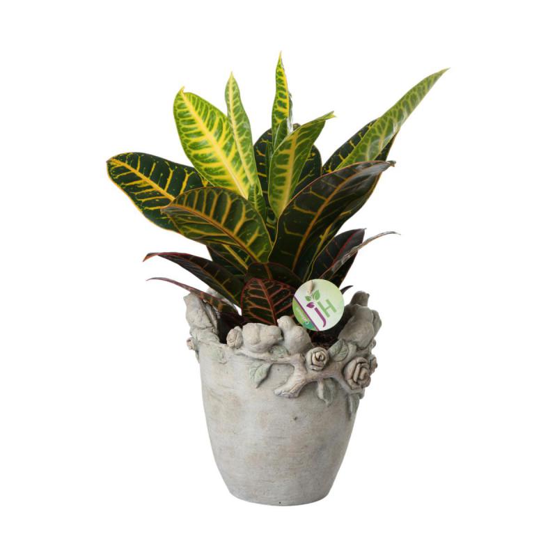 Zementvase mit V&ouml;geln