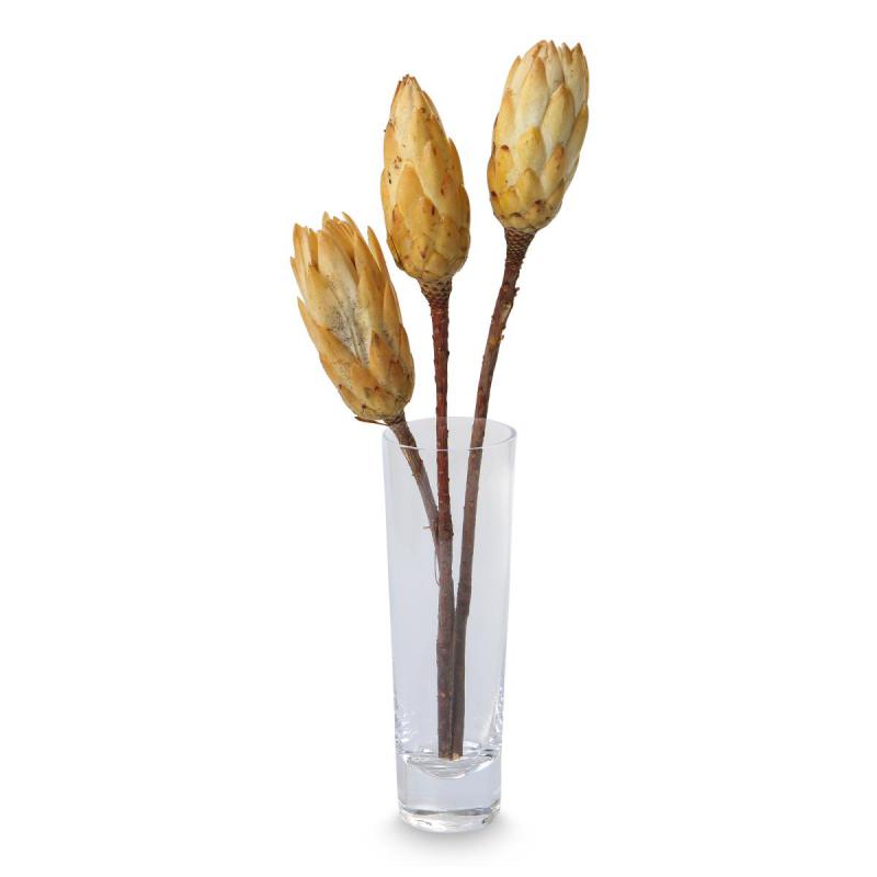 Protea Repens creme extra