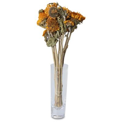 Helianthus 30-40cm
