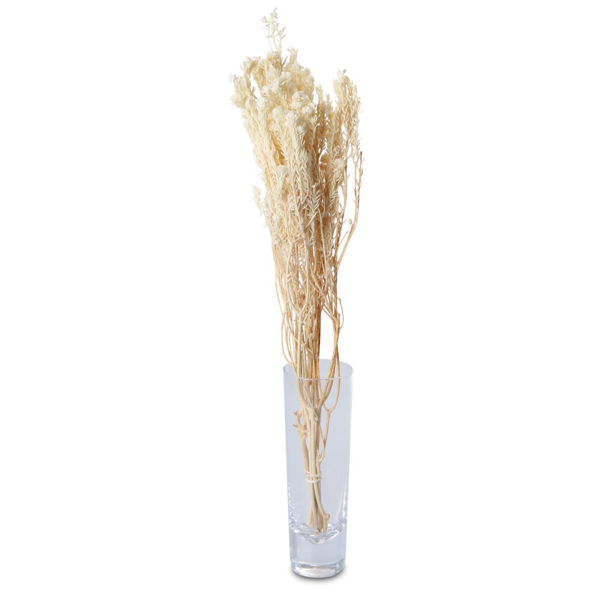 Cotton phylica gebleicht 45-50cm