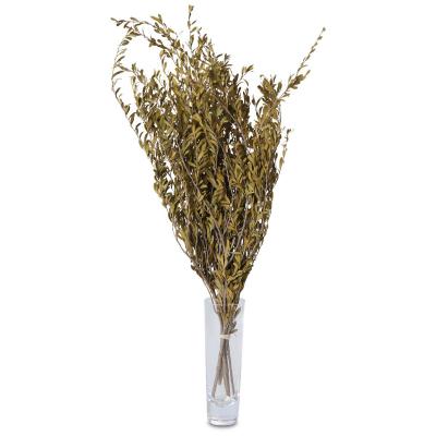 Myrtle natur 60-75cm